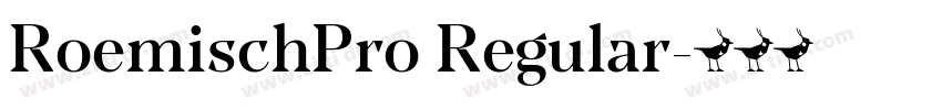 RoemischPro Regular字体转换 RoemischPro Regular字体转换